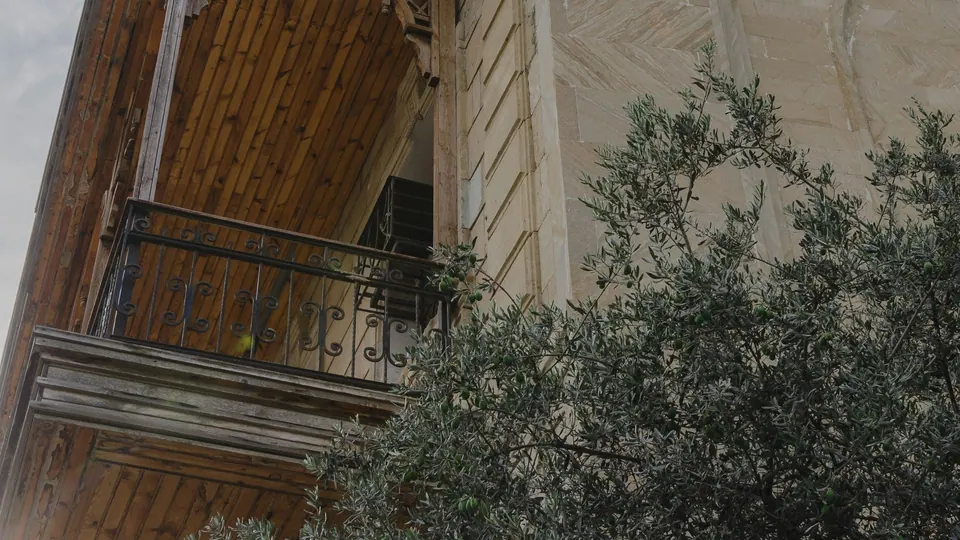 A weathered wooden balcony with an iron railing beside a stone wall and an olive tree.