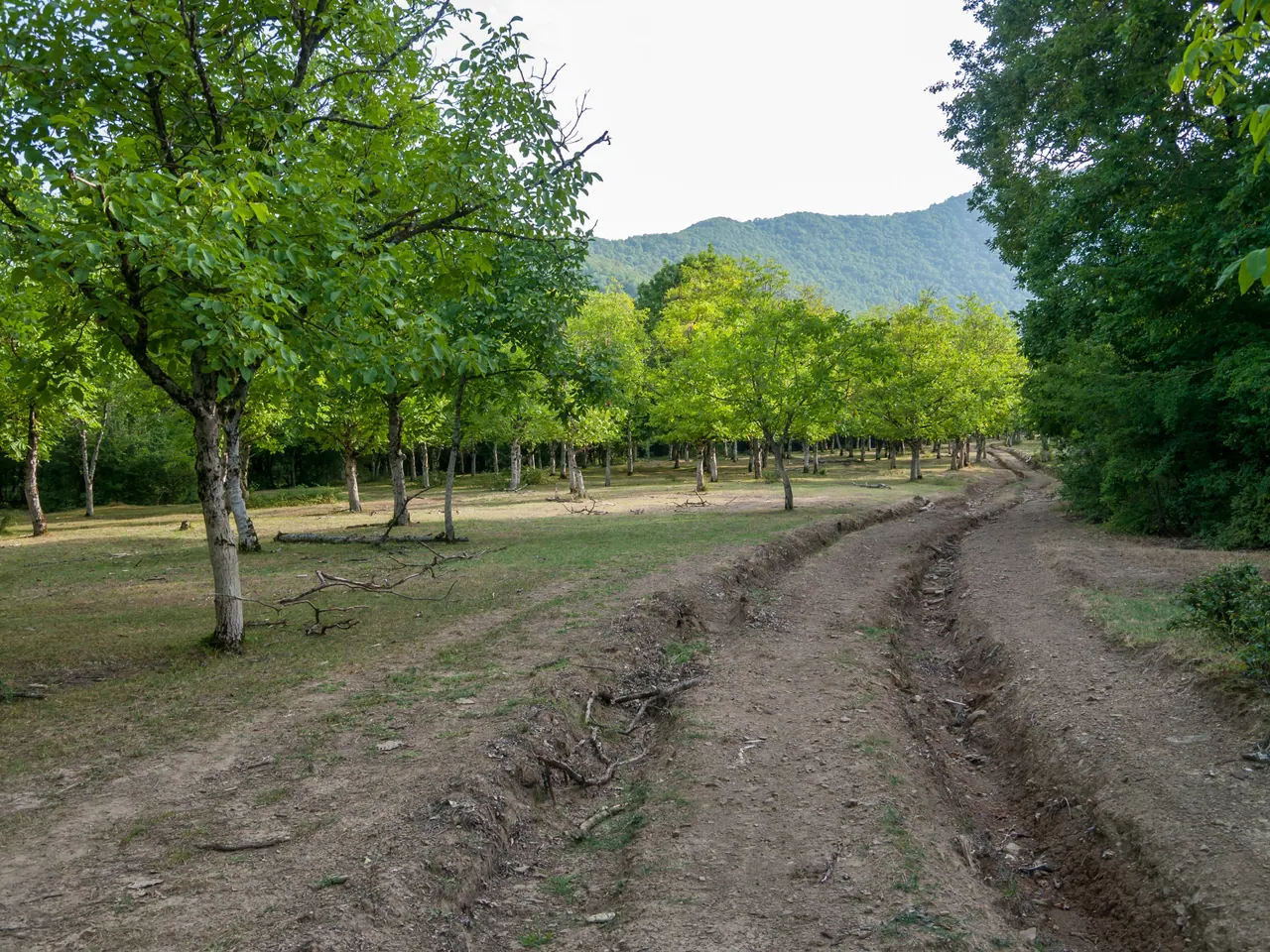 بستان صيفي ومسار زراعي قرب أوغوز
